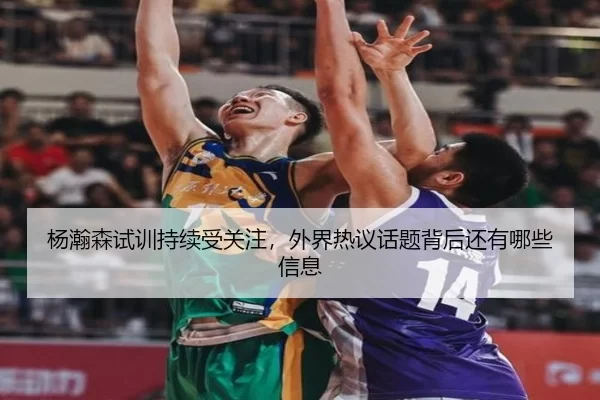 杨瀚森试训持续受关注，外界热议话题背后还有哪些信息